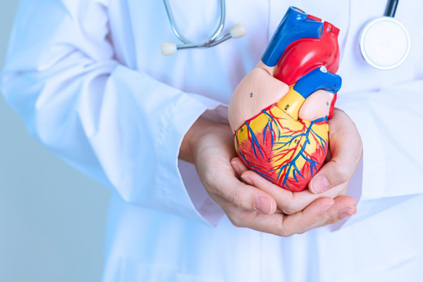 Cardiology